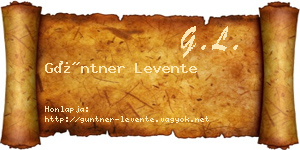 Güntner Levente névjegykártya